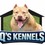 q's kennel color logo